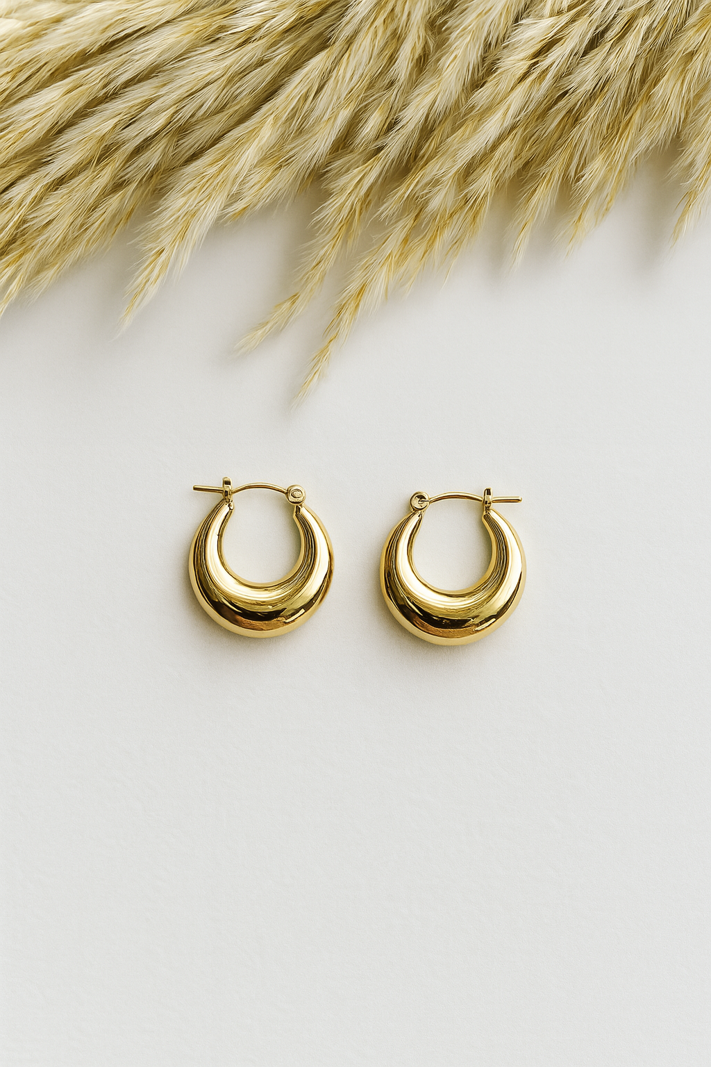 Oval Earrings